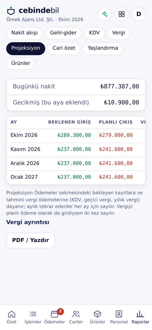 4 aylık nakit projeksiyonu ekranı